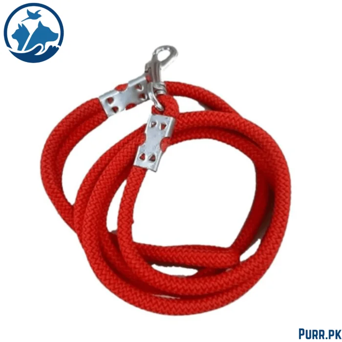 Toy Breed Leash