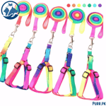 Dog Multi Color Harness with Leash