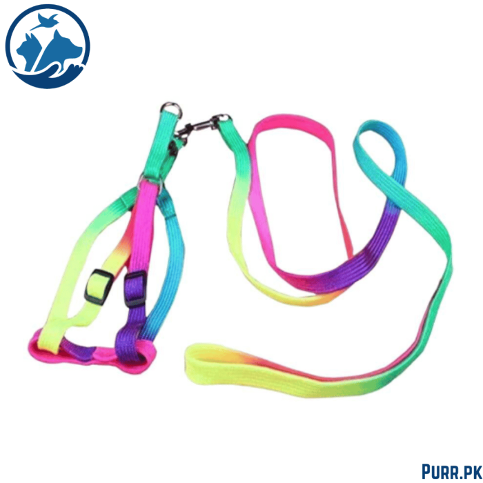 Dog Multi Color Harness with Leash
