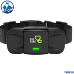 Dog Training Collar