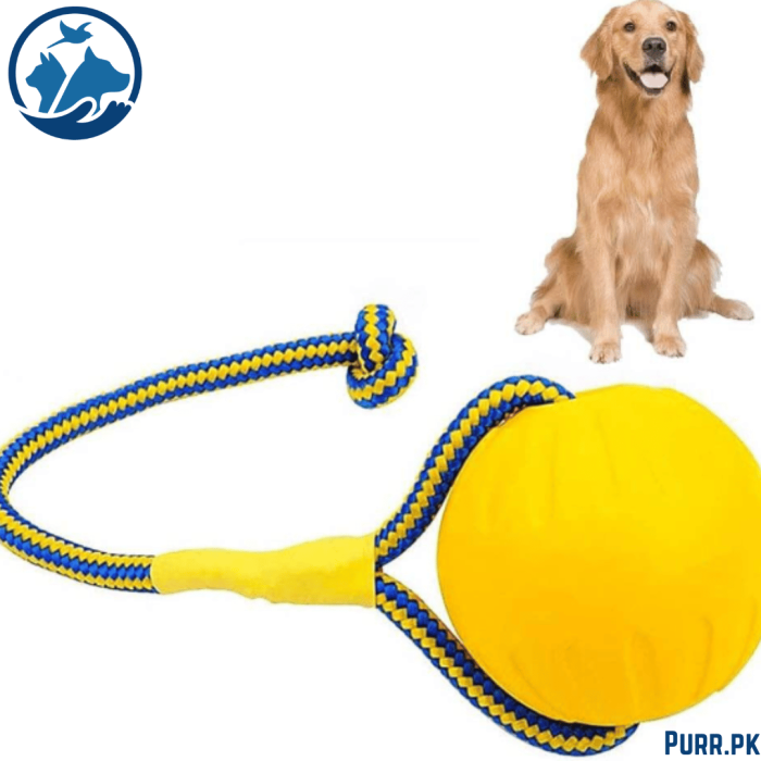 GSD Dog Training Ball with Rope