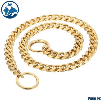 Golden Show Choke Chain