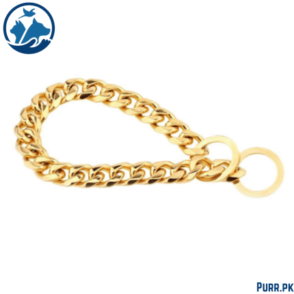 Golden Show Choke Chain