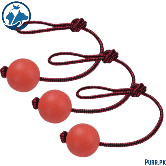 Pet Chewing Red Hard Ball Toy