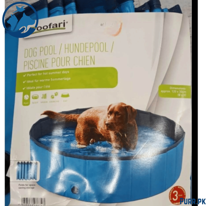 Zoofari Dog Pool
