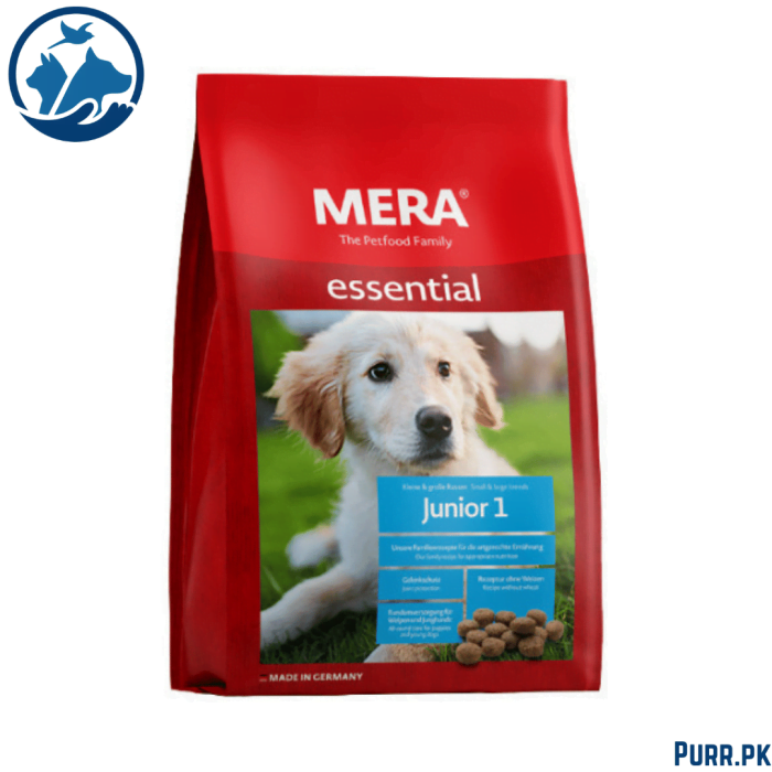 MERA Dog Junior 1