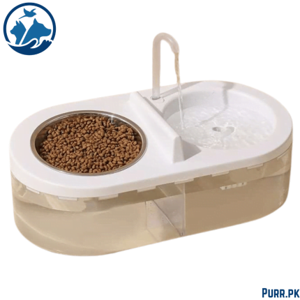 Oval Fountain With Feeding Bowl