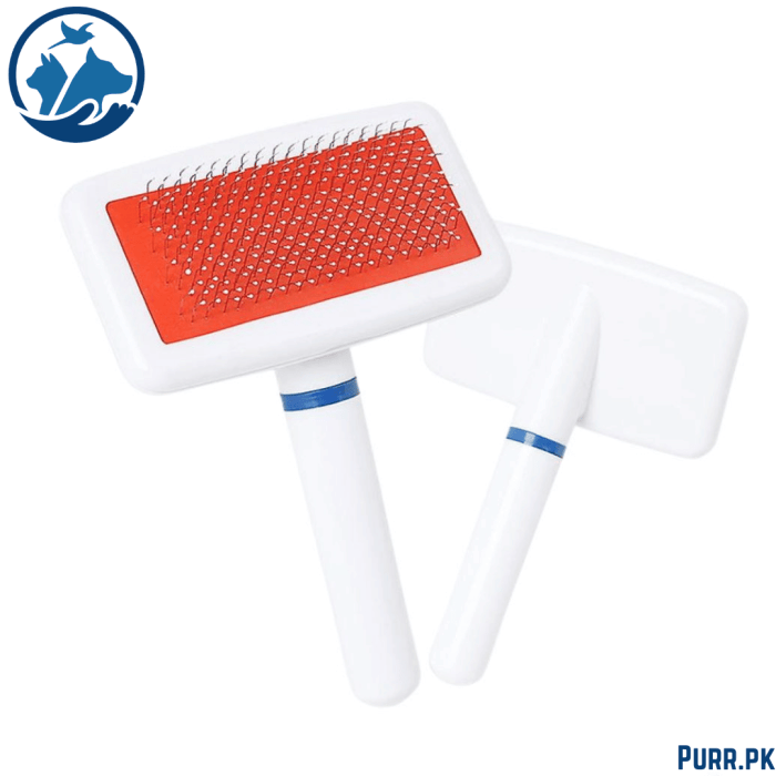 Plastic White Brush (Without Packing)