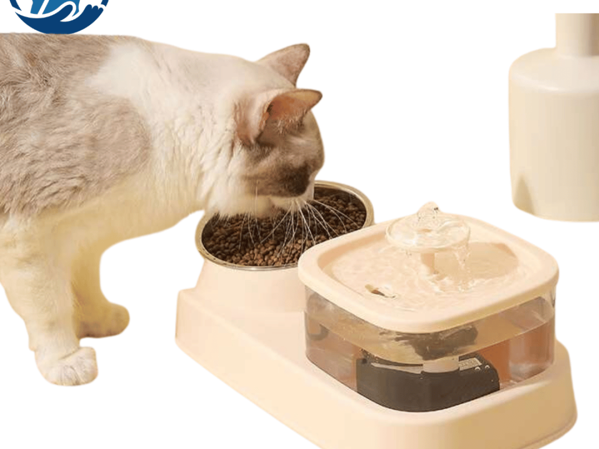 Buy Cat Bowls Feeders Online in Pakistan at Best Price