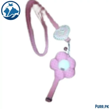 Leash With Flower Cat Collar