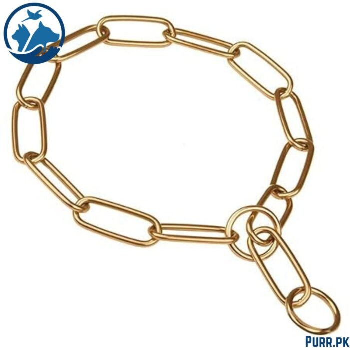 Long Link Golden Choke Chain