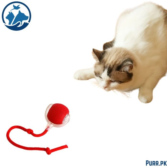 Smart Electric Cat Toy – Auto Teaser Ball, USB Charge