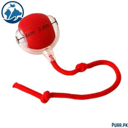 Smart Electric Cat Toy – Auto Teaser Ball, USB Charge