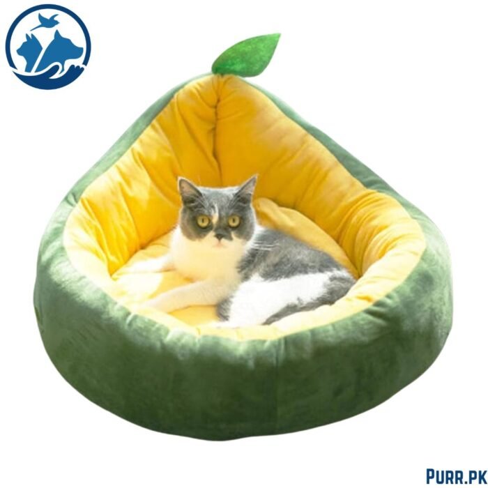 Avacado shaped cat bed