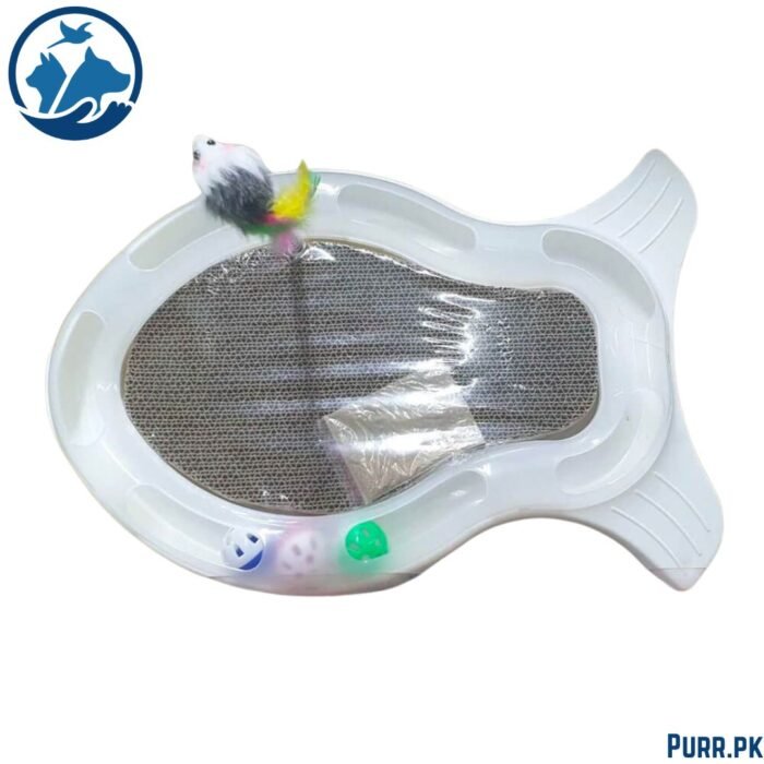 Fish Track Toy With Scratcher