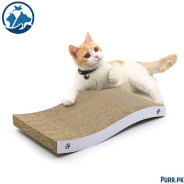 Scratch Pad/ Board